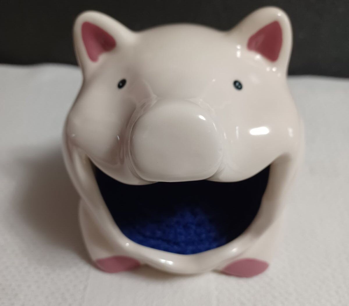 Ceramic Pig Sponge /Scrubby Holder