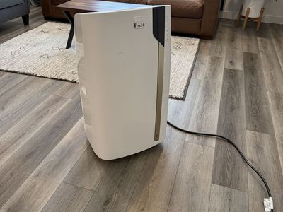 De’Longhi Pinguino Arctic Whisper Extreme PAC