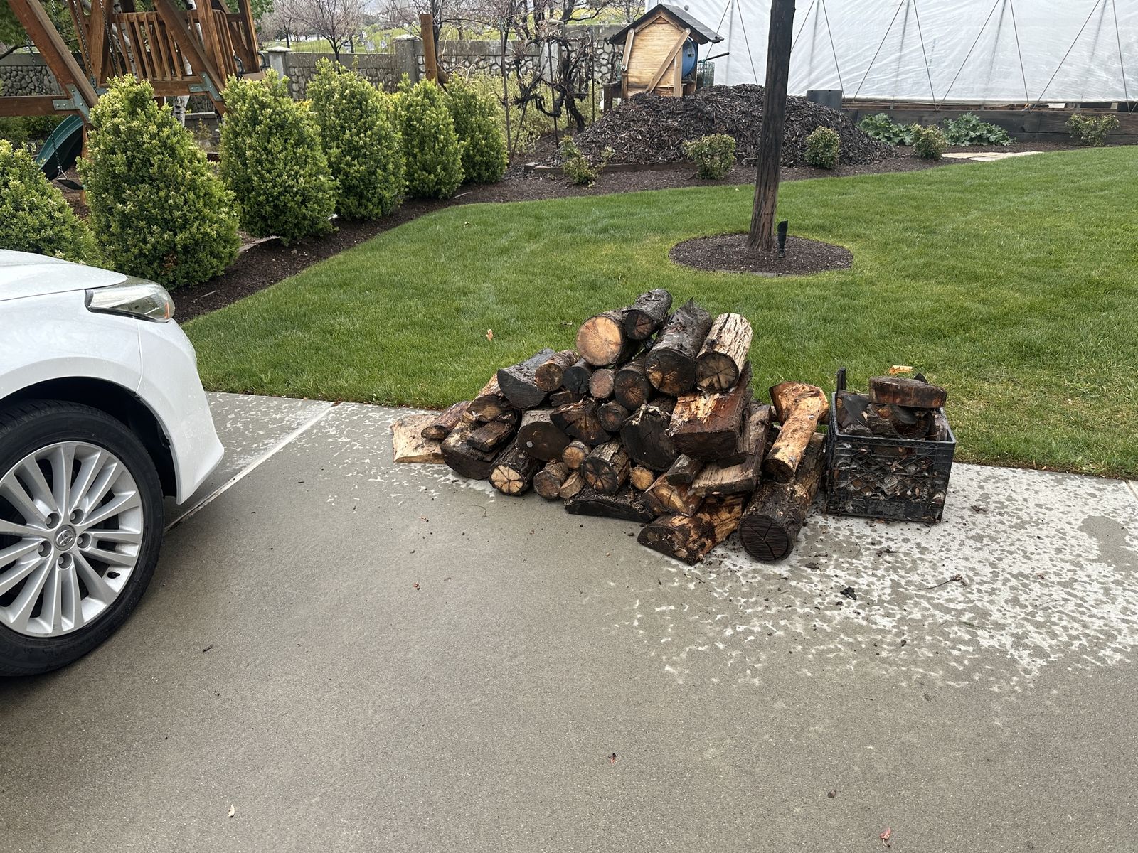 FREE FIREWOOD