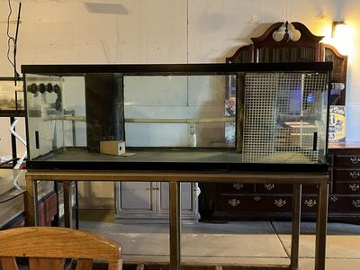 Fish Tank