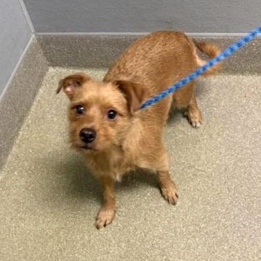 Hello my name is Barty