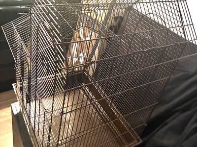 Nice Clean Birdcage!
