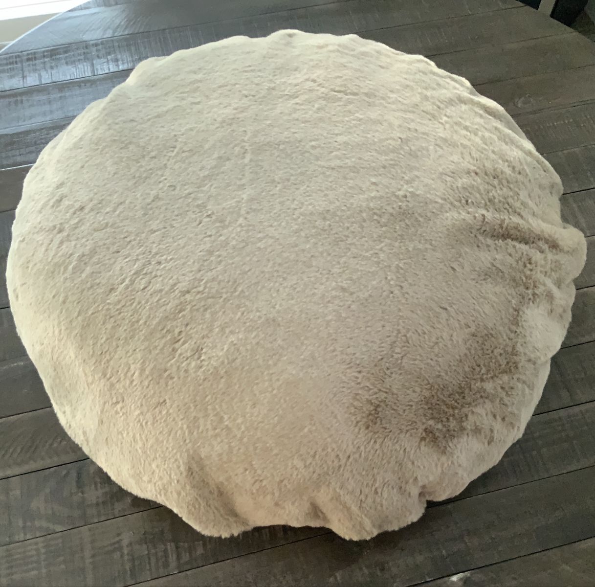 Main image 4