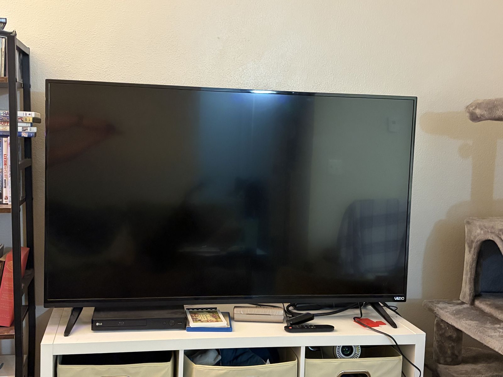 50 Inch Vizio TV