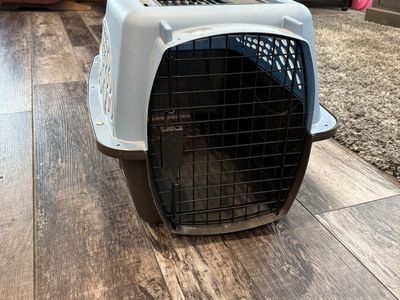 Cat carrier