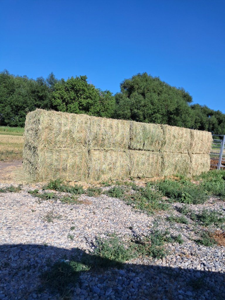 Premium Horse Hay Bales. 1,400 lbs.