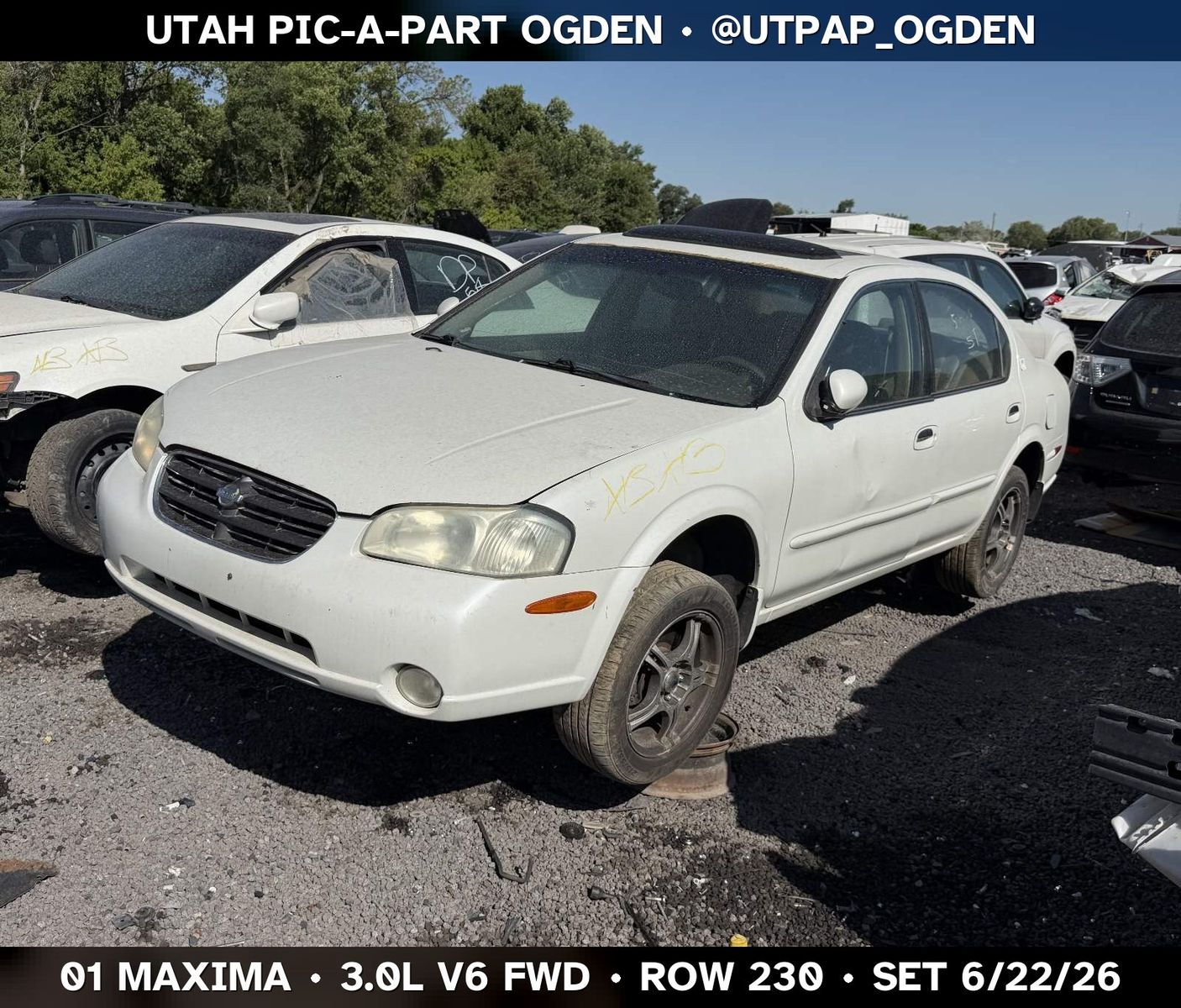2001 Nissan Maxima Parts - UTPAP Ogden