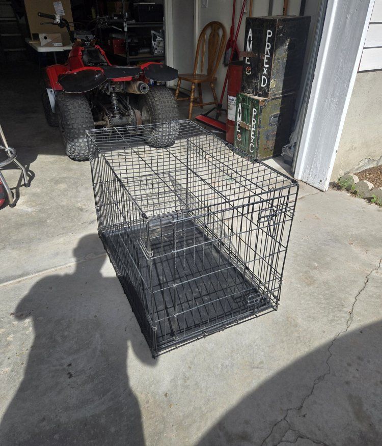 Kennel