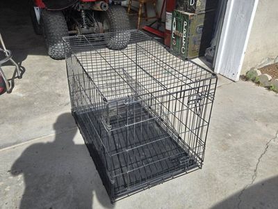 Kennel