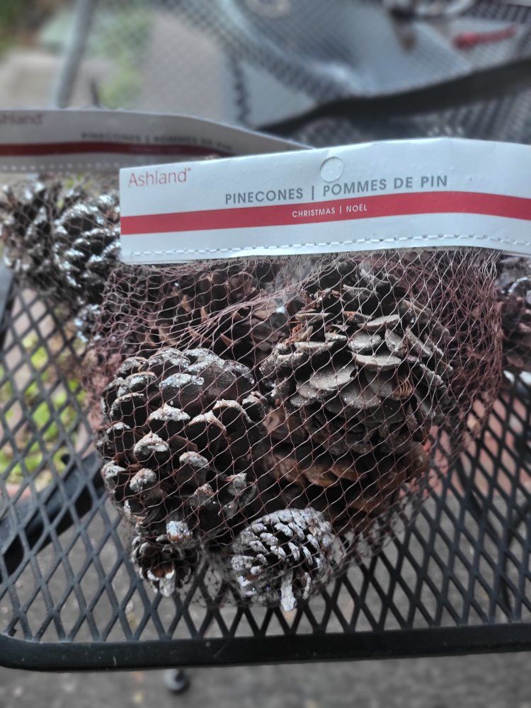 Ashland Christmas Pinecones - Natural Holiday Decor (Unscented)
