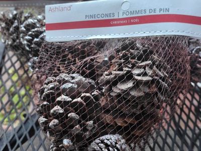 Ashland Christmas Pinecones - Natural Holiday Decor (Unscented)