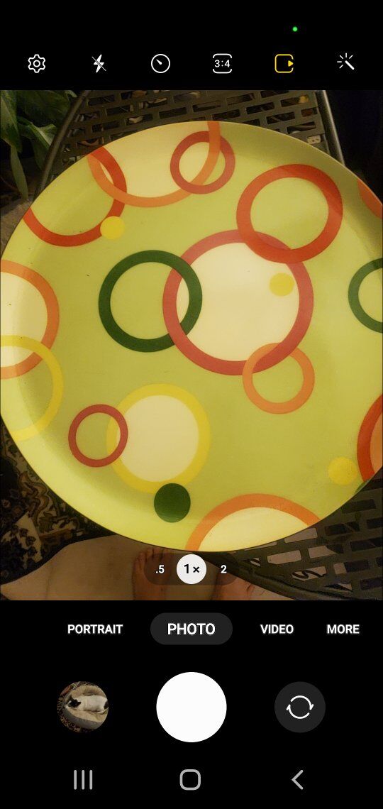 A Set of 5 Different Serving Trays