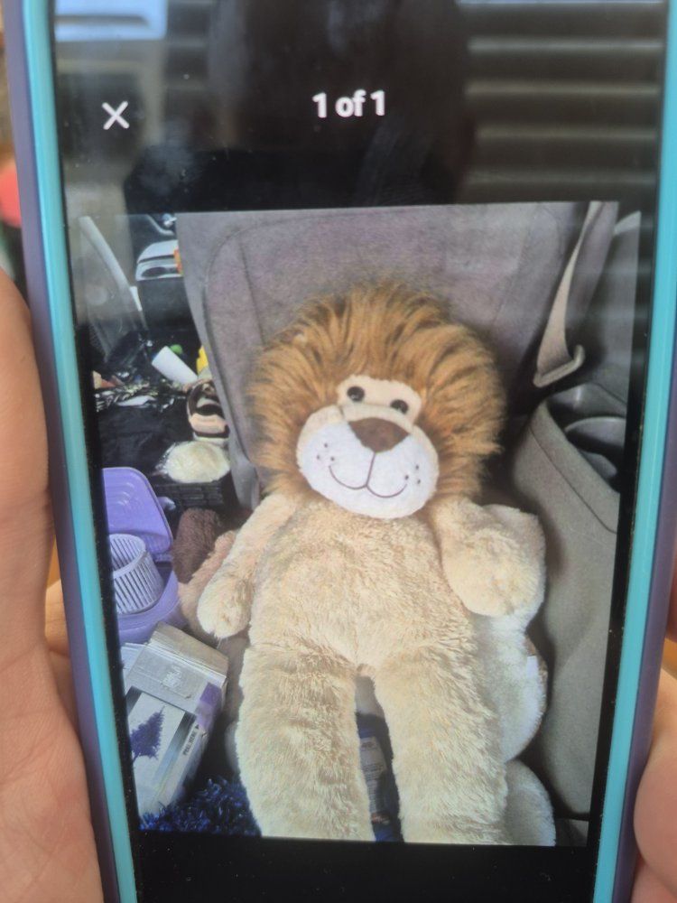 teddy bear