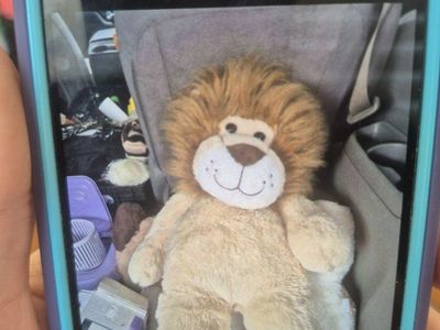 teddy bear