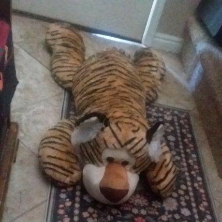CUDDLE BUDDY!  42 INCHES OF TIGER-IFFIC SOFTNESS!
