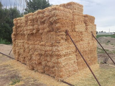 Wheat Straw