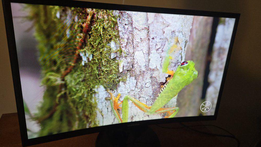 24 Inch LED Curved Samsung Monitor