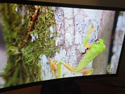 24 Inch LED Curved Samsung Monitor