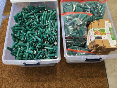 Remington hulls/shells