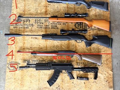 Pellet guns and BB guns