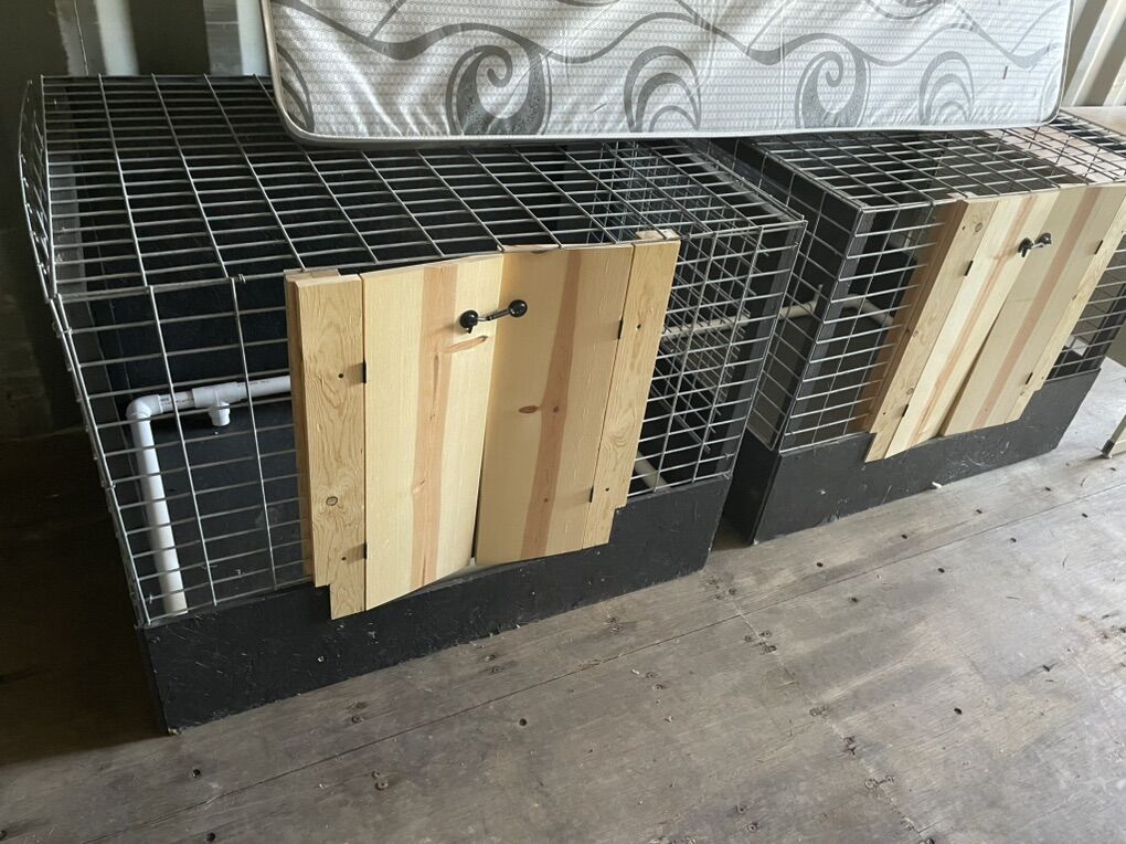 Dog Puppy Whelping Box