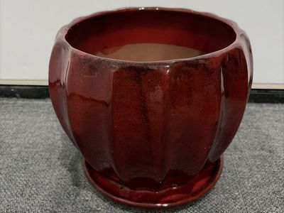 Maroon Red Clay Plant Pot W/AttachedDrainage Plate