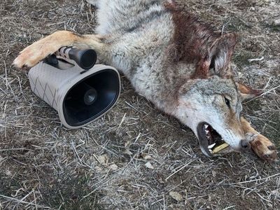 Lucky Duck Roughneck Coyote call