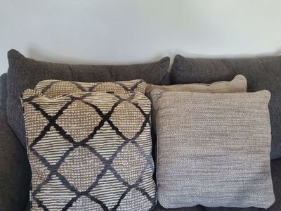 Couch Cushions