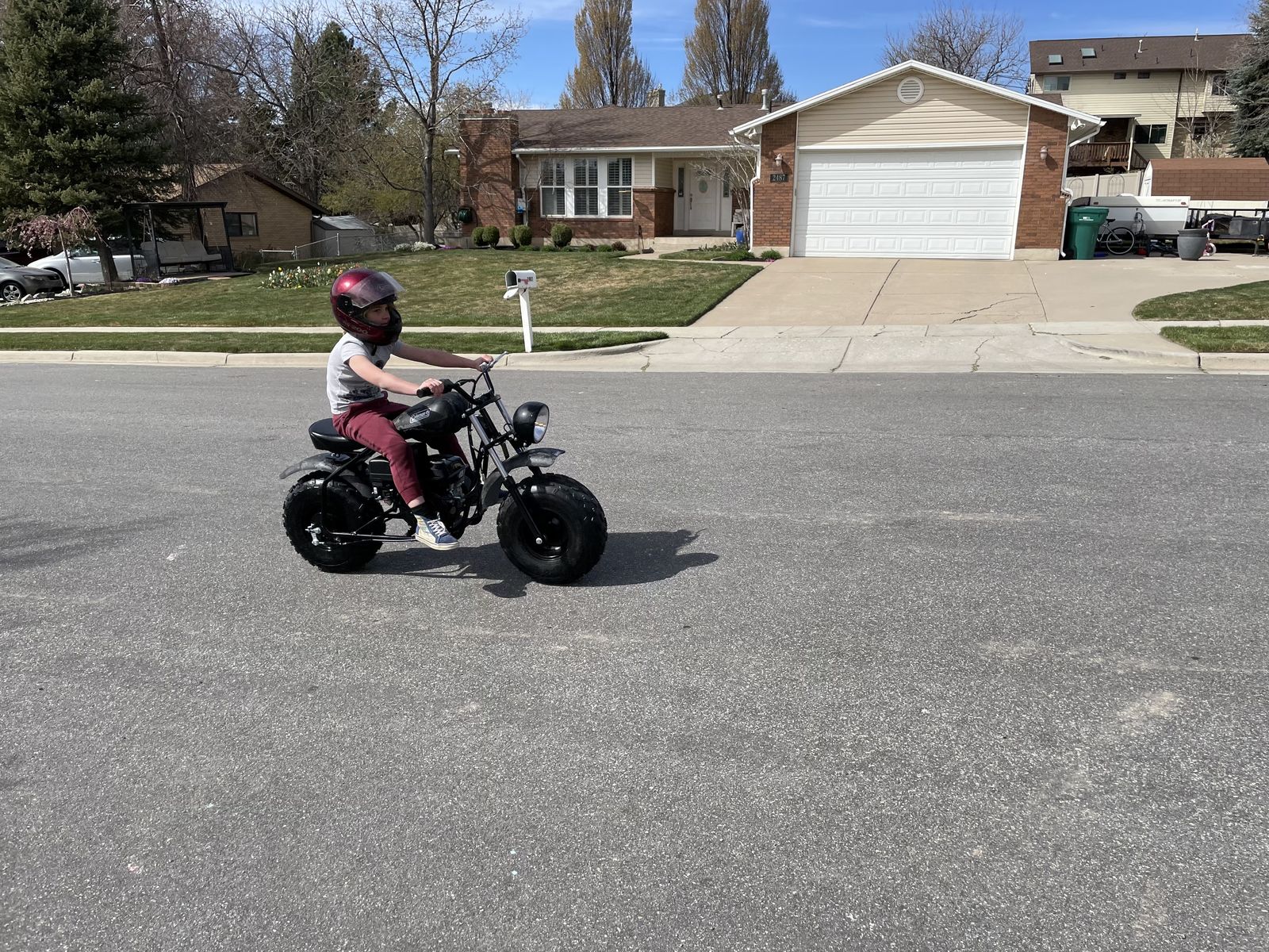 Coleman BT200x Tote Gote Goat