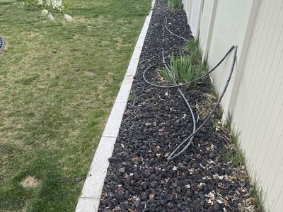 Black Lava Rock 2-3 Inch Free