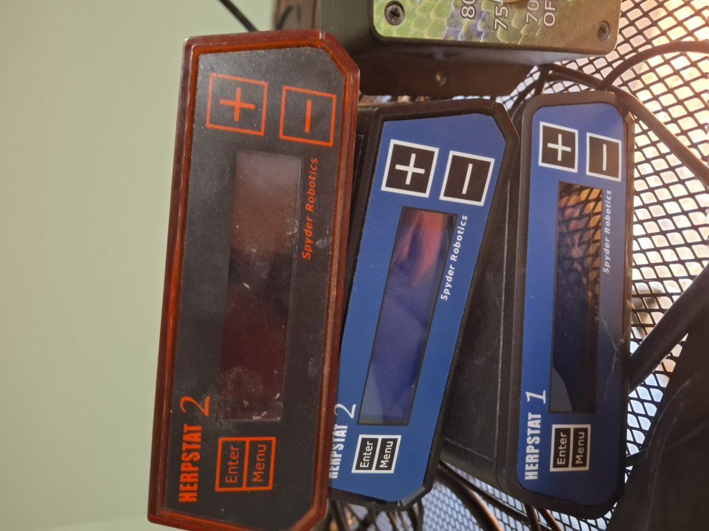 Herpstat Thermostats