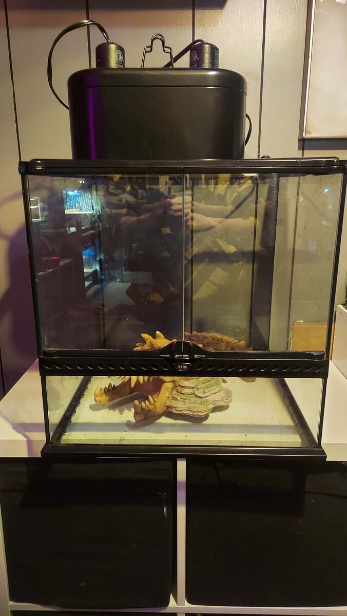 Exo Terra Bioactive terrarium 18x18x18