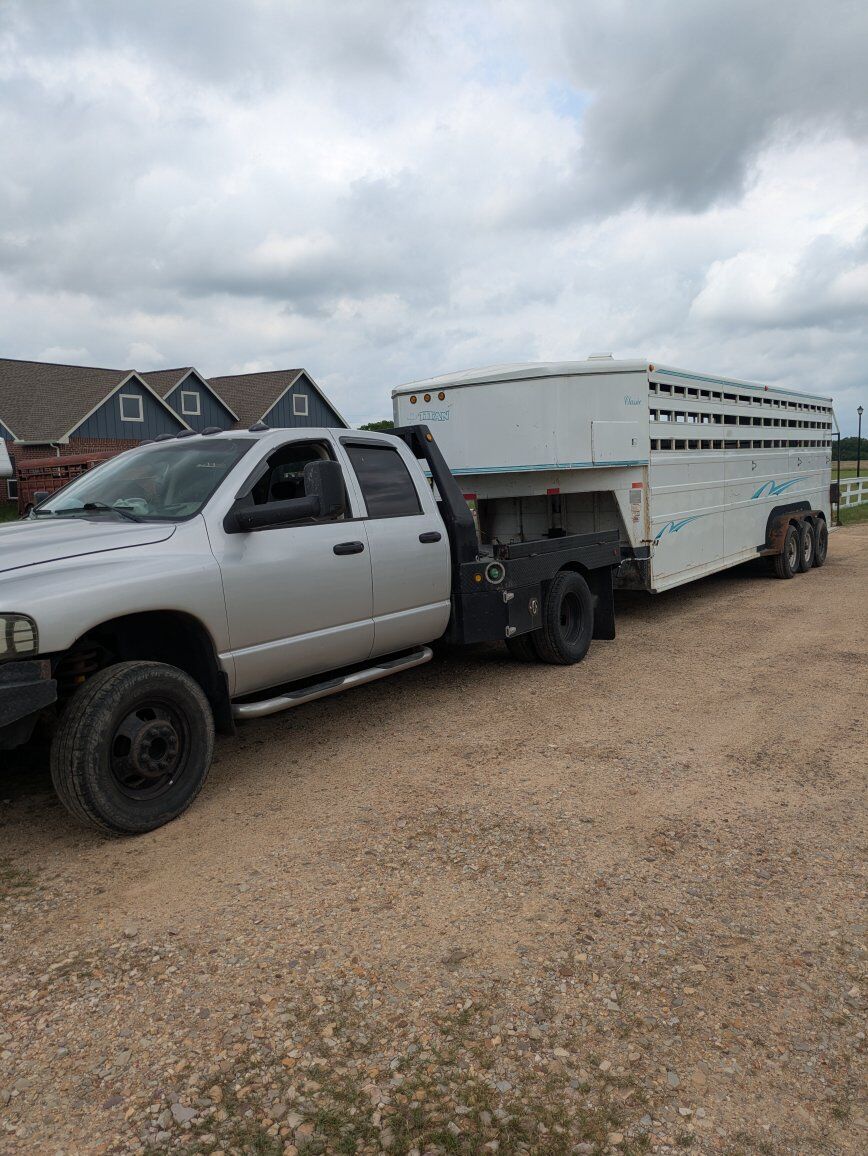 1999 Titan stock trailer