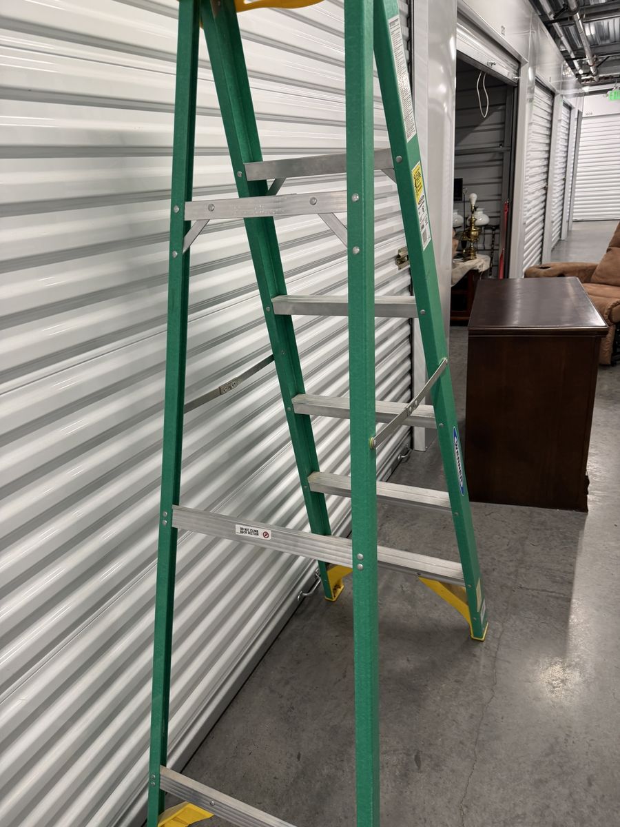 Werner Fiberglass 6 Foot Step Ladder