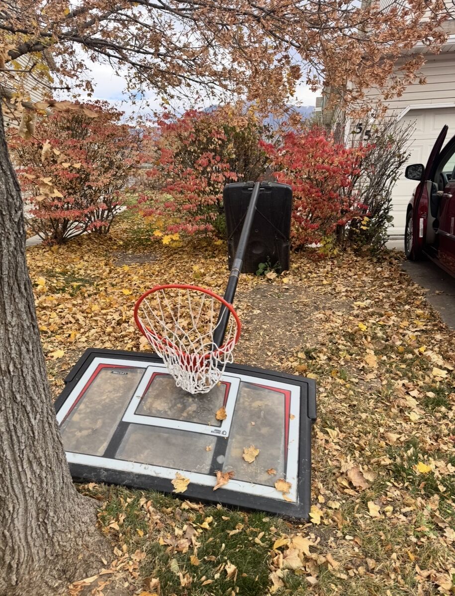Lifetime adjustable Basketball Hoop