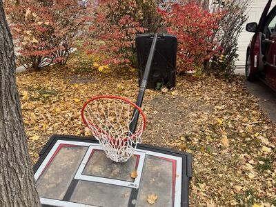 Lifetime adjustable Basketball Hoop