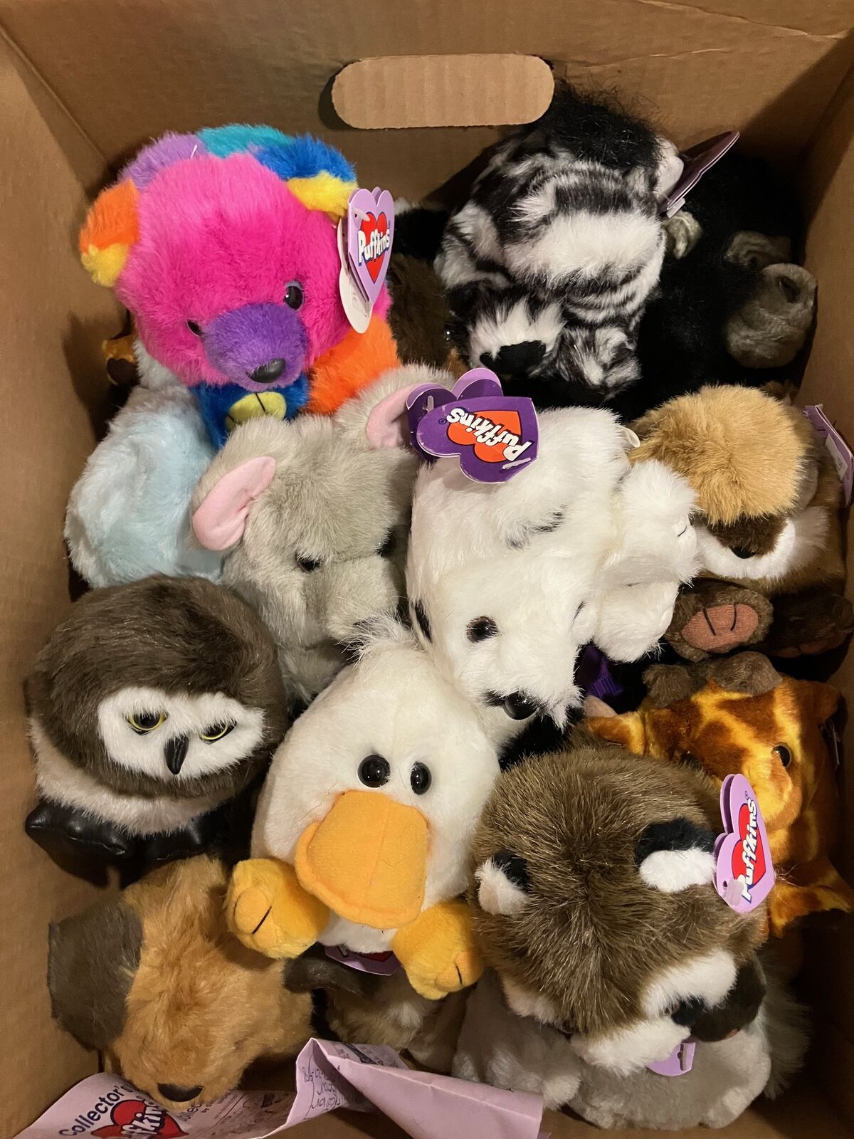 Collection Of 43 New Puffkins Animals With Tags