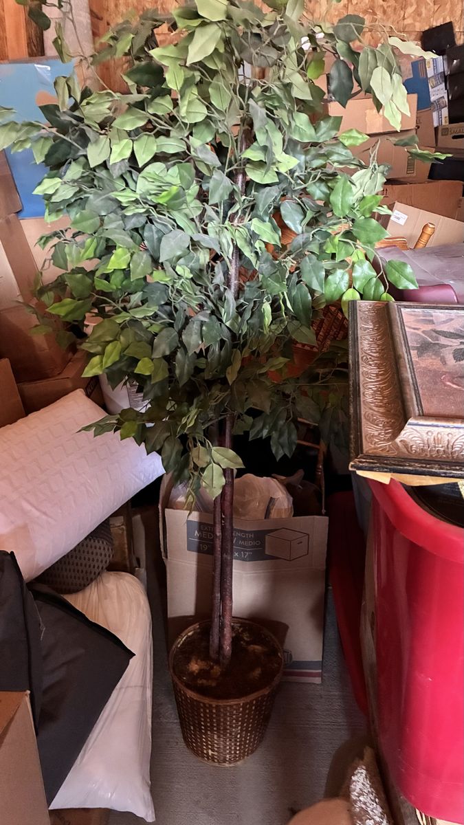 Lifelike Artificial Ficus Tree in Woven Basket - Green Foliage Decor