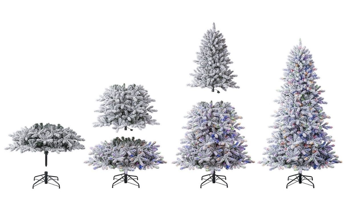 Main image 4