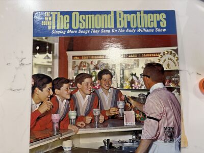 Big collection of Gordon Lightfoot , The Osmonds, The carpenters, Donny Osmond, Marie Osmond 12" vinyl LP records vintage