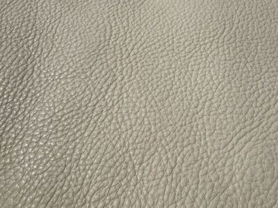 Leather Hide