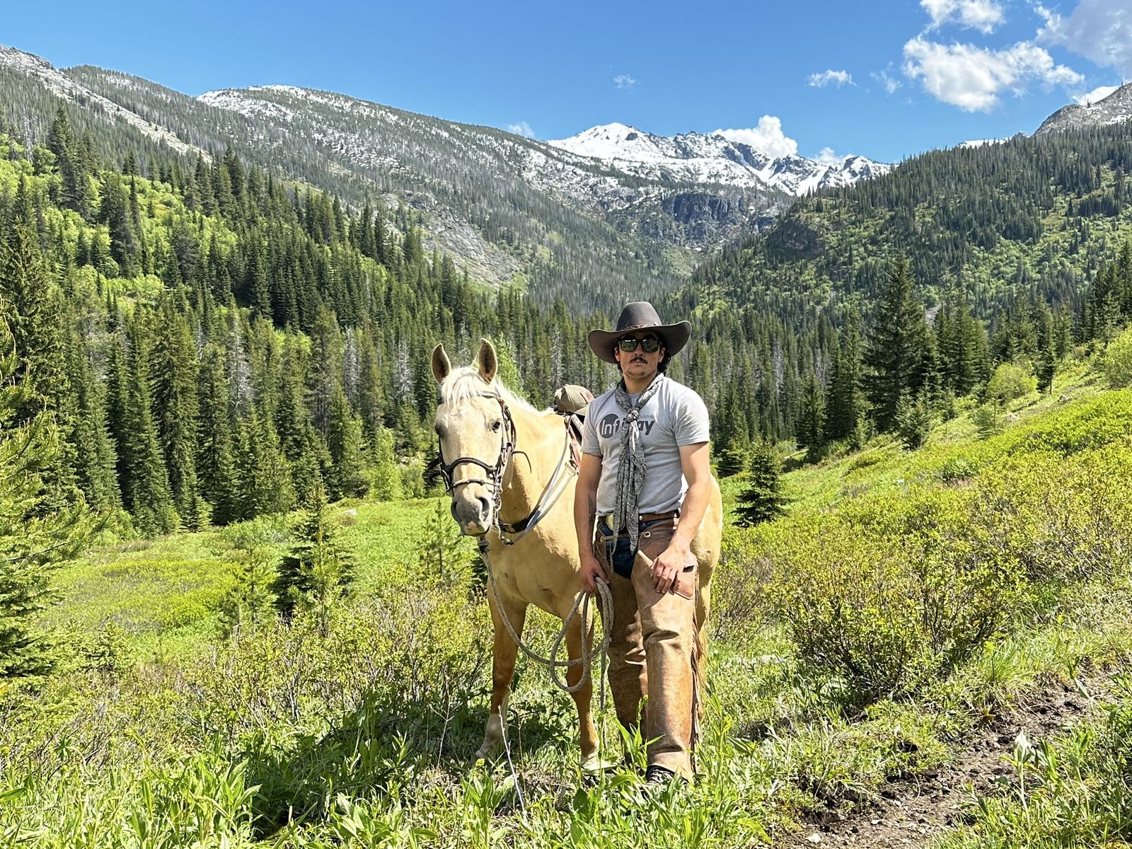 Colt Starter/ Horse Trainer