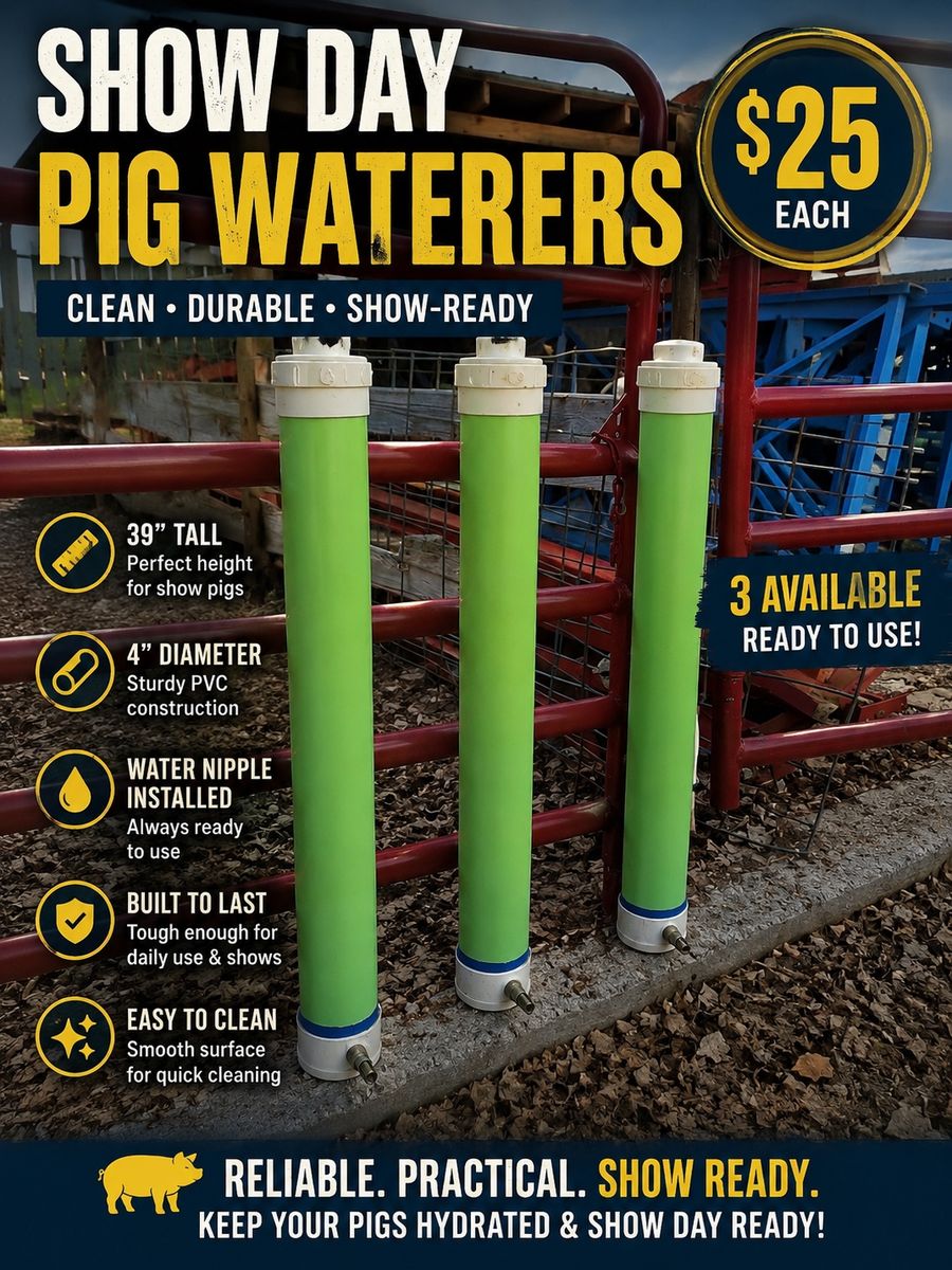Show day pig waterers