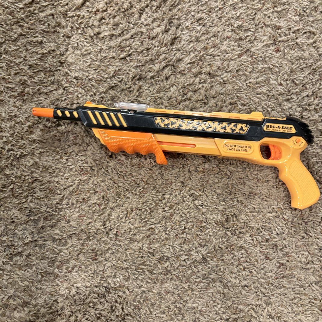 salt gun to shoot flies