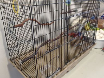 Birds cage