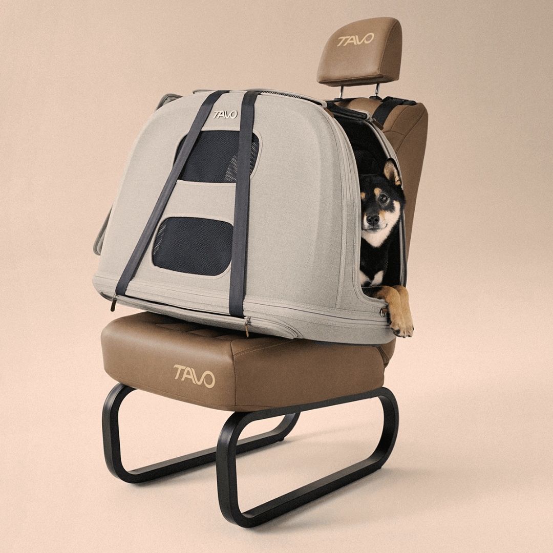 Tavo Crispin Pet Travel Create / Car Seat