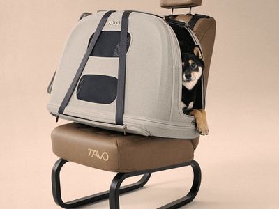Tavo Crispin Pet Travel Create / Car Seat