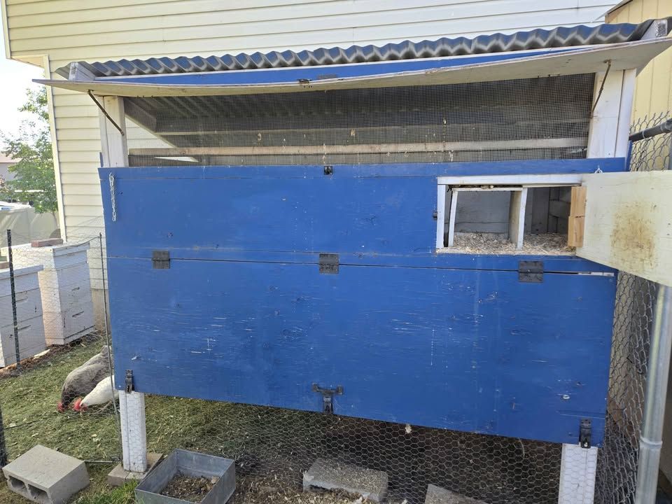 Main image 2