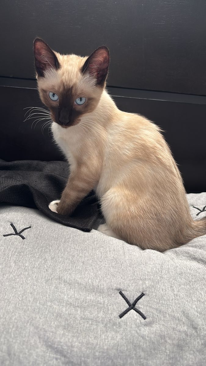 Main image 2