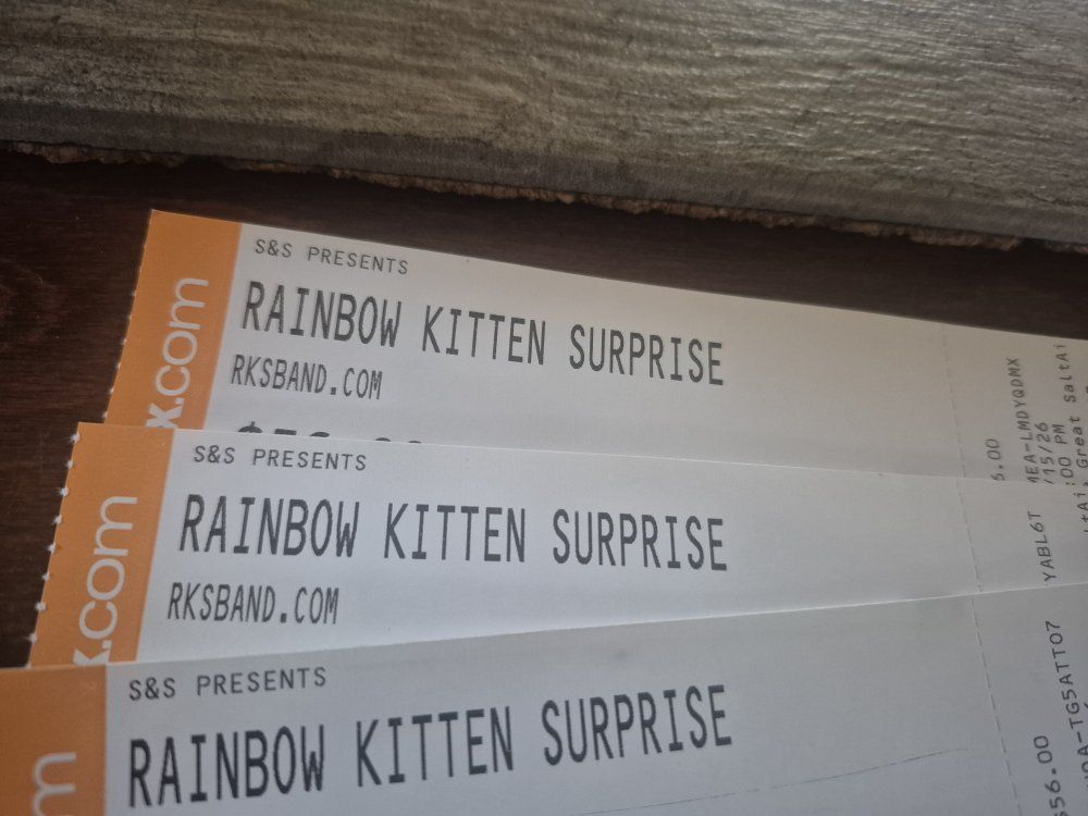 Rainbow kitten surprise
